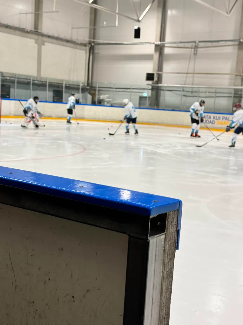 Игра с Kakkumäe Kullid