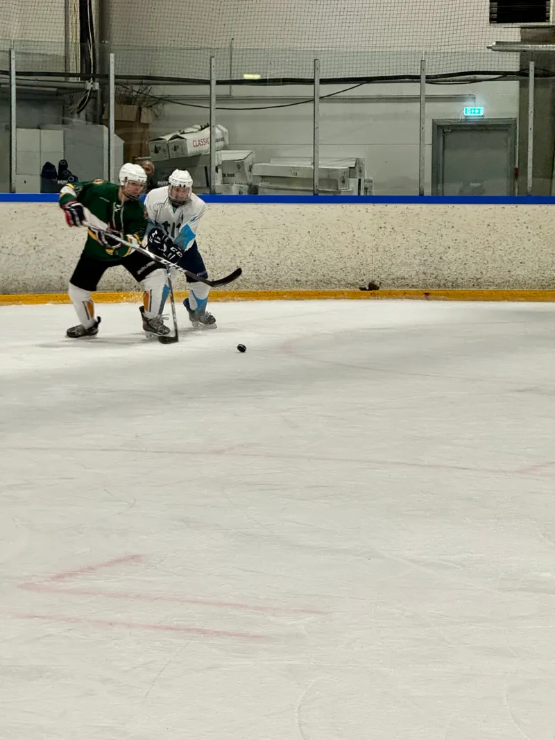 Игра с Kakkumäe Kullid